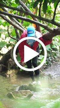 BIB:  <button type="button" onclick="openModal(27484431)" class="btn btn-primary btn-sm float-right" data-toggle="modal" data-target=".modal-high-quality">
                <i class="fa fa-download"></i> Download
                </button>